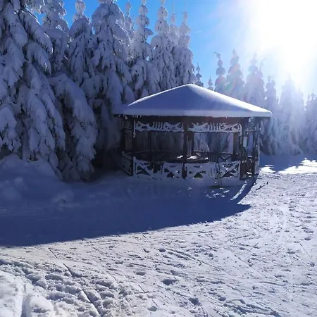 Helena Шале